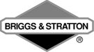 Briggs & Stratton